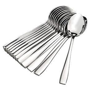 Stainless Steel Spoons Set of 12, Dinner Spoon Length 16cm