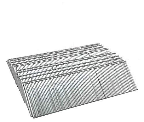 1 Inch SS Nails (1 Pack)