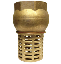 Brass Foot Valve 3 inch