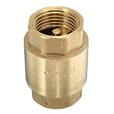 Brass NRV 3 inch Thread Type Vertical