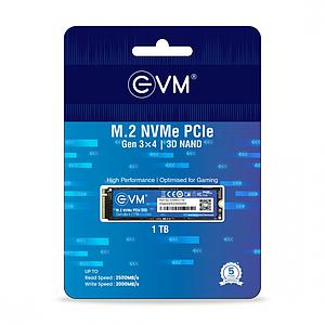 EVM M2/1TB-M2 NVME SSD