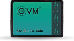 EVM SATA SSD 512GB