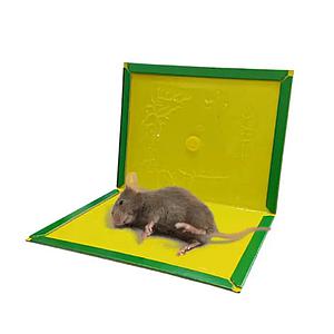 /9j/4AAQSkZJRgABAQAAAQABAAD/2wBDAAgGBgcGBQgHBwcJCQgKDBQNDAsLDBkSEw8UHRofHh0a
HBwgJC4nICIsIxwcKDcpLDAxNDQ0Hyc5PTgyPC4zNDL/2wBDAQkJCQwLDBgNDRgyIRwhMjIyMjIy
MjIyMjIyMjIyMjIyMjIyMjIyMjIyMjIyMjIyMjIyMjIyMjIyMjIyMjIyMjL/wAARCACAAIADASIA
AhEBAxEB/8QAHwAAAQUBAQEBAQEAAAAAAAAAAAECAwQFBgcICQoL/8QAtRAAAgEDAwIEAwUFBAQA
AAF9AQIDAAQRBRIhMUEGE1FhByJxFDKBkaEII0KxwRVS0fAkM2JyggkKFhcYGRolJicoKSo0NTY3
ODk6Q0RFRkdISUpTVFVWV1hZWmNkZWZnaGlqc3R1dnd4eXqDhIWGh4iJipKTlJWWl5iZmqKjpKWm
p6ipqrKztLW2t7i5usLDxMXGx8jJytLT1NXW19jZ2uHi4+Tl5ufo6erx8vP09fb3+Pn6/8QAHwEA
AwEBAQEBAQEBAQAAAAAAAAECAwQFBgcICQoL/8QAtREAAgECBAQDBAcFBAQAAQJ3AAECAxEEBSEx
BhJBUQdhcRMiMoEIFEKRobHBCSMzUvAVYnLRChYkNOEl8RcYGRomJygpKjU2Nzg5OkNERUZHSElK
U1RVVldYWVpjZGVmZ2hpanN0dXZ3eHl6goOEhYaHiImKkpOUlZaXmJmaoqOkpaanqKmqsrO0tba3
uLm6wsPExcbHyMnK0tPU1dbX2Nna4uPk5ebn6Onq8vP09fb3+Pn6/9oADAMBAAIRAxEAPwD3+iii
gAooooAKKKKACiiigAooooAKKKKACiiigAooooAKKKKACiiigAoorJ8UXElp4S1m5ibbJDYzyI2A
cERsQeaT2A1s0Zr5k07Tb67s0u7acRFychWdec8/dPrWlHB4ohH7nVrtQP7l/Otec80w8Xyydmv6
7GUXWklJU7p+aPomjI9a+e1uPGkZ+XWNQP8A3EGP/oQqdNa8eQ/c1O9b6ywv/wChCqWZ4Z/aX3hz
VVvTf4HvtFeDjxb8QYxj7bdH629u3/stH/CcePkILTzkejWEZ/kKtZhh39pfev8AMXtZLeEvuPeK
K8LX4jeNYvvrG3+/pzf0NTxfFnxDBIpvYbIQjlwLOQOR6KC4yc1f12k9nf01/UPbrqmvVHttFMiL
mFDJjftG7AwM45p9dSNgooooAKKKKACue8dyeV4B19vXT5l/NCP610Ncn8TJDF8OtZYHG6FU/wC+
nVf60pbMmTtFs8u8ODZoVp7hj/48a2FxjJIx61m6GpGiWIH/ADxB/PJrVBySSH/HnivzvEu9ab83
+Z30ValFeS/JCg46OB9G6UB3LYDZ9Pemk5PGAPpSVgaEhOeoGfpTgF/uj8qjU8+1Pz+FK4DsL6Cu
T1qEX3jHTbEc+Y1vER/vy/4V1eeK5/R4vt/xfsYuojuVP/fuIt/MV6mTw5sT8v8AJHDmD/dKPdo9
+FFA6UV9yQFFFFABRRRQAVxHxblEfw41Bc8yS26D/v8AIf5A129edfGmXy/AqJ/z1vYl/IM3/stT
P4WZ1XanL0ZyOlJs0uyU9reP/wBBFaHy7ec7jUFtHtgiTj5UUfkBVgivzirK82/N/mz1IqySEAyc
etPaMouQ4Yd+MYpu3IpF3kfOxasrlAtSdO9NHBzS9TRcVhc5IHcmsr4ax/b/AIo3Vz1EKXMwP1dU
H6E1plgmXPRfmP4c1B8EIPO1TWL1vvJBDHn/AH2Zj/6CK97II3qyl6fqzz8drOnHzb+5HtFFFFfY
CCiiigAoopHdY0Z3YKqjJYnAA9aAFrzL42F5PDek20aM7y6koUKM5xFJx+tbGqePDLM1n4as/wC0
Zxw11ISttH/wLq/0Xj3rhvE+p31lAJrzVbq71O5/dr5RKxW6H5WKp074yeep5NcOIxdNP2EHeb6f
q+yJUfaqy27/AOXf5feaUscKohiIYEfeB60wA9cfpXnsWqXelqIYbpktwcsTzk496sSazdXW1Xnd
lx2YgD34rxK2Sc8+aMrL0PQdRHdjHVdh45AOaPlHY9PWuFDXNtIJkcjvn1ro9L1y3uykNxKkcjEA
OxwCfQn+tceLyapSjz0nzfLX/gjU77muQvof0pOBVlrKdCQYmOPTBqJ4mT7ysv1UivETuWZurS+T
o99KOq28hH12kf1rb+CFqE0HVLrvJeCL8EjX+rGub8UHZ4cvSpzuCLx6F1zXdfCG28nwDBN/z83E
0v8A4+V/9lr6nh+Okpef6f8ABPNxOuIiuyf4s7yiiivpwCiiuG8d6H4q1vEWl3FuNPCESW32ho2l
PvheR14LYqZScVorkzbUW0rlnXPiFp2nztY6XG2rakOPItj8iH/bfoPwyfpXPSw6rrxEniG6Bjzu
Fjb/ACxL9f7x+ufwrCtYfEvhW38iXwjmJRlnt1JJ9yyFx+gqa28eaY58u5tru2kH3lwsmPyIP6V8
zmeJzJ3jShaPdav/AIH5k0p0HrXlr2aaX/B+bt5HTRxRwxiOJFRF6KowK4HxPIsV6slwsjRspDoE
Zs4zgDA6nNdfa+IdHvDth1O23f3JGMbfkwFaq79u9dxU87lOR+YrwsHjJ4Gq51INt97p/e0empRq
L3GmvLX8j581e7t7jUU8u2u4woAYSxFSWPQAHtzjmtq/lj0aKOyl2pfGMPIg5EYYHAbH8Veqappa
ai8eUjKk4kLDtWFqvw90jVLqS9uJb43LgAukuMAdMDGK+kp55hJRi5uzfTexHs3qcbZ+fqVvN9nl
tEwwhjjnuUjd2I4Cg8n60yKOa1drW7geG4UYKMcH6g9D9RU2pfDifTgZdL1EnrhbhNpHHPzDpVnR
NL8QeXHZyo95BJuVwDujj7ffPB/A5r0lXpSh7SMly99iUtNUeg+HLs32hW0jSb5EGxmPU46Z/DFa
uSB94gfXise002eziC20bQtgbiJl2k/TFTyp9ltZbvUrgvDCpdkU8H2/E4H418RiqNCVaU6dRWb0
SWuva2m+2qOhNKN5dDL8Uak8ax2dnZwXbzAiVpIt6AHgLkY5J9+BXqHh7SItB0Cz0yFVVbePBCE4
3HliMknG4nrXmfw80qTWvE1xrF2o8m1JYJj5fNboAPRR/SvX6+xyrBxw9K63f9eh49Os68nV1s9k
7bL/ADCiiivVNgooooAKp32k6dqabL+wtrpewniV8fmKuUUAcZffC/w1dg+TBPZk85t5jj/vlsr+
lc5cfCbULN/M0XXNjdg4aEj/AIEhI/8AHa9WorKVGnJWaMpUKcndx1+78rHjcun/ABC0g/vIGvYg
fvBEnz/3zh/0qGPxpLBMINR0topQcEJIUb/viQA/rXtVQ3NpbXsJhureKeI9UlQOp/A15tbJMJV1
5bemn5WGlVh8FRr11/PX8Ty4a1ol/j7RKY+MbLpGVeoPP8J6etbMTLPGHhdJU7GNgw/StS9+Hnh+
6JeCCWwkJzus5SgH/ADlP/Ha565+GV9Axk07VIZGzx50ZgcfV4+D/wB815lfhzmSVObstk9V+hqs
XiIfFFS9NH+N0X647xnqReaLS4cnYRJMB3Y/cX9c/iKvzQeMtEO65tJ7qBepKC4Ugf7SfOPqRTfB
vh+fUvFi395+8gjH2vfkHezfdBx0IOeD6Vy4PJ6lDEr2zXl5v/gLUxxmJniKXsqcWm97rZfl/Xme
ieEtEGg+Hbazb/XkebOfWRuv5cD8K3KKK+zilFWRcIqMVFbIKKKKZQUUUUAFFFFABRRRQAUUUUAF
FFFABTVjRZGkVFDvgMwHJx0yadRQAUUUUAFFFFAH/9k=
