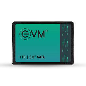 EVM 2.5 INCH SATA 1TB SSD
