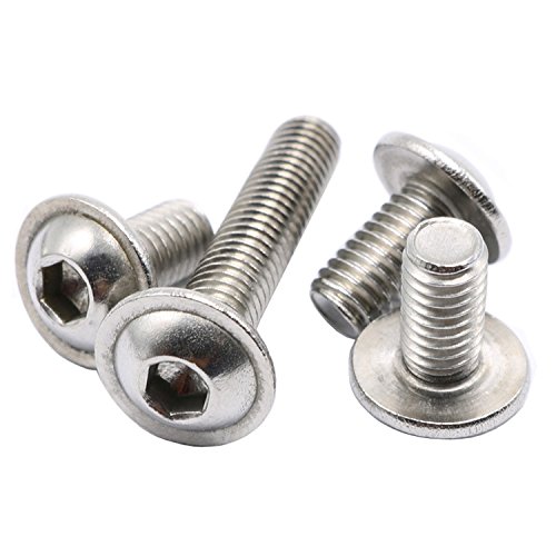 SS SCREW M6X10mm (Phillips Head)
