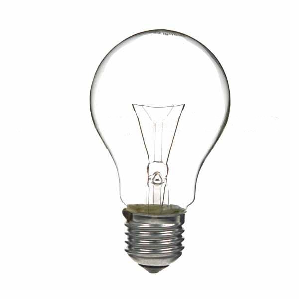 Bulb 100W